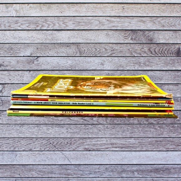 National Geograph KIDS Three Magazine+ Four Others Tigers Koalas Catterpillers - Picture 6 of 6